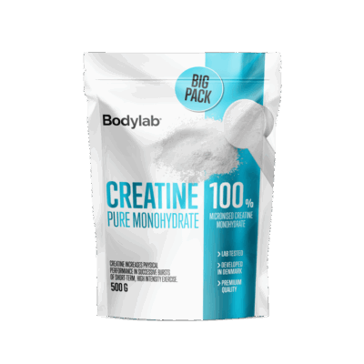 Creatine Big Pack (500 g) - Neutral